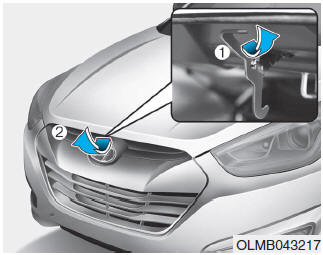 Hyundai Tucson: Hood. 3. Raise the hood slightly, pull the secondary latch (1) inside of the hood center