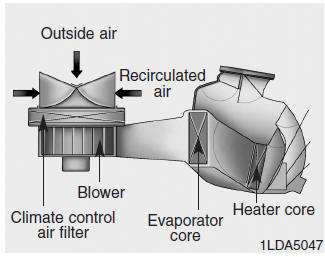 Hyundai Tucson: Climate control air filter. The climate control air filter installed behind the glove box filters the dust