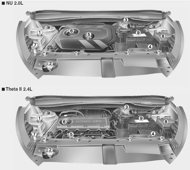 Hyundai Tucson: Engine compartment. 1. Engine coolant reservoir