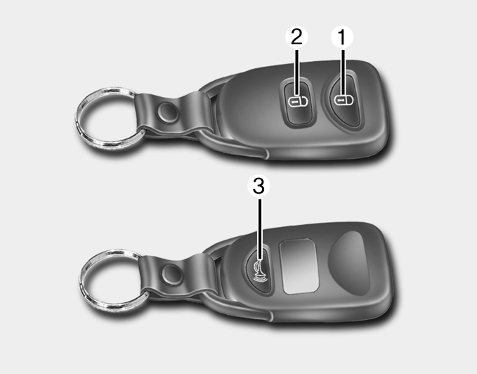 Hyundai Tucson >> Operating door locks from outside the vehicle Door